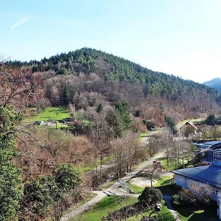 Mit Schonem Fernblick Im Schwarzwald アパート ゲルンスバッハ